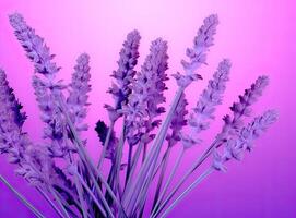 Close-up of lavender flowers, Soft focus on black background. Created with Generative AI technology. photo