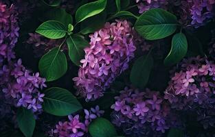 beautiful branch of lilac flowers on a dark green blurred background. long natural banner. concept for spring greetings. space for text. Created with Generative AI technology. photo