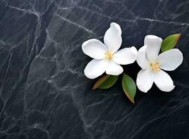 Fresh white peony flowers on dark table background. Condolence card. Empty place for emotional, sentimental text, quote or sayings. Closeup. Created with Generative AI technology. photo
