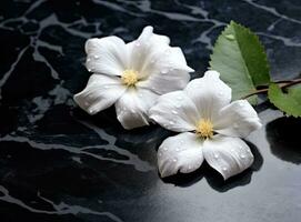 Fresh white peony flowers on dark table background. Condolence card. Empty place for emotional, sentimental text, quote or sayings. Closeup. Created with Generative AI technology. photo