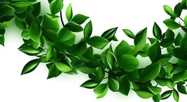 Fresh green leaves branch isolated on white background. Created with Generative AI technology. photo