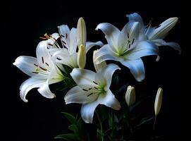 Blooming lilies. Lilium longiflorum, often called the Easter lily, is a plant endemic to both. Created with Generative AI technology. photo