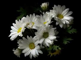 A bunch of white daisy flowers on rustic chalkboard table surface, with blur copy space background. Created with Generative AI technology. photo