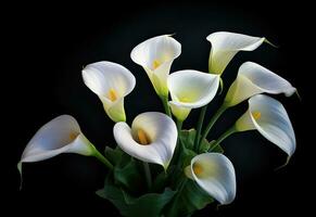 Calla flowers on the dark background place for a text. Created with Generative AI technology. photo