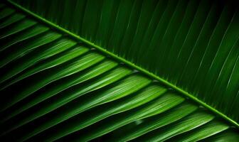 Palm leaf wallpaper. Tropical leaves background. For banner, postcard, book illustration. Created with generative AI tools photo