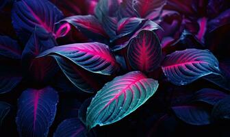 Tropical leaves in neon pink light wallpaper. Exotic foliage background. Natural textured. For postcard, book illustration. Created with generative AI tools photo