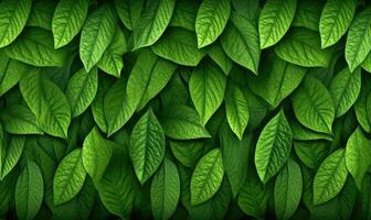 Green foliage wallpaper. Forest group leaves. For banner, postcard, book illustration. Created with generative AI tools photo