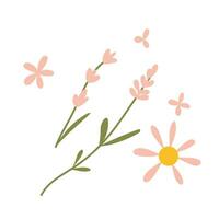 Wild flowers, cartoon style. Trendy modern vector illustration isolated on white background