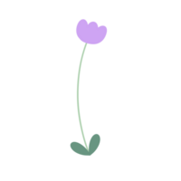Minimal color flower png