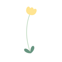 minimal Couleur fleur png