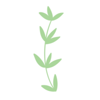 minimal Färg blomma png