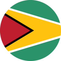 Guyana flag button on white background png