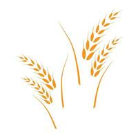 wheat Logo Template vector icon design