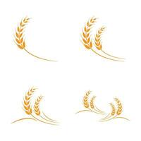 wheat Logo Template vector icon design