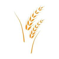 wheat Logo Template vector icon design