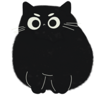 Illustration of cute chubby cat png