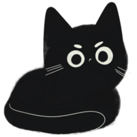 Illustration of cute chubby cat png
