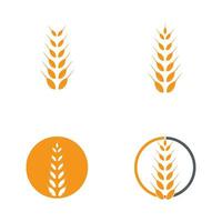 wheat Logo Template vector icon design