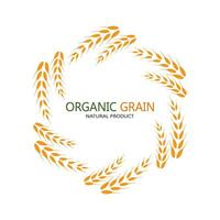 wheat Logo Template vector icon design