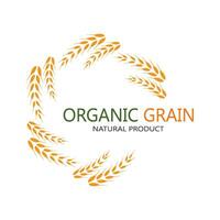 wheat Logo Template vector icon design