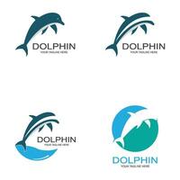 Dolphin logo icon vector