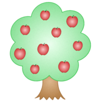 apple tree with apples png