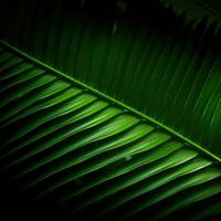 Palm leaf wallpaper. Tropical leaves background. For banner, postcard, book illustration. Created with generative AI tools photo