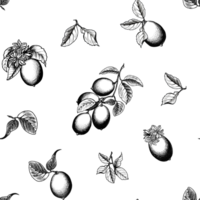 Seamless pattern with lemons in black and white. PNG illustration for design, fabrics, wrapping paper, wallpaper, covers, greeting cards,  prints on clothes, embroidery.