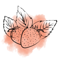 Strawberry on watercolor background png