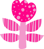 Rosa das Blume png