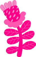 pink decorative flower png