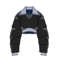 chaqueta bombardeo estilo png