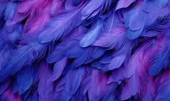 Peacock Feather Bird Feather Background HD phone wallpaper  Pxfuel