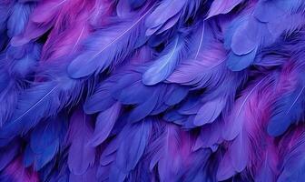 Feathers soft background. Purple bird feathers. Created with tools photo
