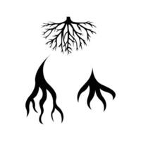 tree roots icons set isolated on white background vector