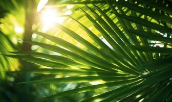 Palm leaves textured wallpaper. Creative abstract surface banner. Created with tools photo