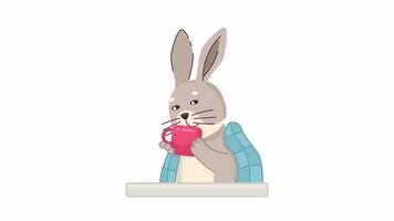 Kawaii rabbit drinking tea cup 2D character animation. Tea blanket flat cartoon 4K video, transparent alpha channel. Cozy bunny character with blanket over shoulder animated animal on white background video