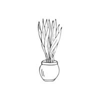 house plant Illustration. Home decor illustration isolated on white background vector