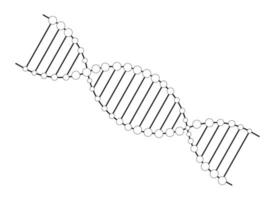 DNA helix flat monochrome isolated vector object. Genetic information. Editable black and white line art drawing. Simple outline spot illustration for web graphic design