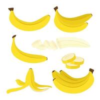 banana. un conjunto de ilustraciones de un maduro banana. fruta. comida vector