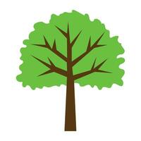 Pack of Trees Flat Illustrations vector