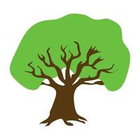 Tree with  leaf  on one stem vector