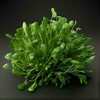 Fresh green arugula leaves isolated on black background with clipping path photo