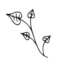 Doodle single twig branch with leaves element. Twig plant, herb. Vector silhouette illustration.