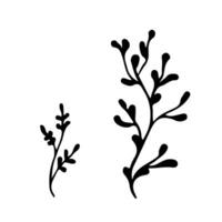 Doodle single twig branch element. Dry twig plant, herb. Vector silhouette illustration