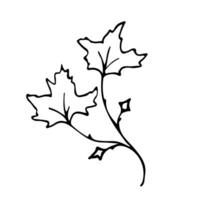 Doodle single twig branch with maple leaf element. Twig plant, herb. Vector silhouette illustration.