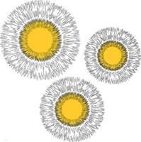 Vector drawing, dandelion on a white isolated background. Outline drawing, lines