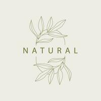 Leaf Line Logo, Beautiful Hand Drawn Design, Botanical Minimalist Vector, Simple Organic Plant Feminine Logo vector