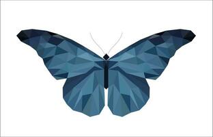 Butterfly polygonal illustration isolated in white background. vector