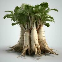Fresh parsnip roots isolated on white background. 3d illustration photo
